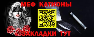 прущие грибы Гатчина