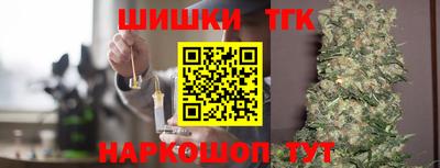 прущие грибы Гатчина