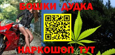 прущие грибы Гатчина